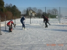 Eishockeyturnier 2009