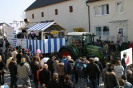 Fasching 2011 - Faschingstreiben Nassenfels_40