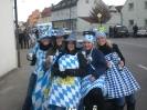 Fasching 2011 - Gaimersheim_5