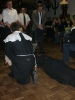 Fasching 2011 - Kehrausball_18