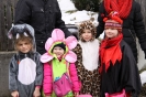 Fasching 2015 - Faschingstreiben Nassenfels_13