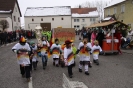 Fasching 2015 - Faschingstreiben Nassenfels_40