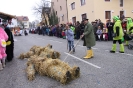 Fasching 2015 - Faschingstreiben Nassenfels_42