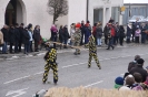 Fasching 2015 - Faschingstreiben Nassenfels_60