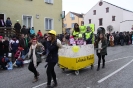 Fasching 2015 - Faschingstreiben Nassenfels_7