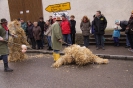 Fasching 2016 - Faschingstreiben Nassenfels - Teil 2_14