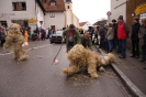 Fasching 2016 - Faschingstreiben Nassenfels - Teil 2_15