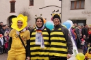 Fasching 2016 - Faschingstreiben Nassenfels - Teil 2_21