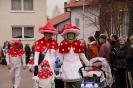 Fasching 2016 - Faschingstreiben Nassenfels - Teil 2_49