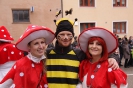 Fasching 2016 - Faschingstreiben Nassenfels - Teil 2_71