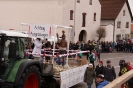 Fasching 2016 - Faschingstreiben Nassenfels - Teil 2_76