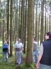 Maibaumaufstellen 2005_128