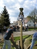 Maibaumaufstellen 2005_16