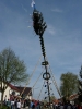 Maibaumaufstellen 2005_62