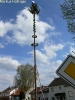 Maibaumaufstellen 2006_11