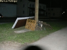 Maibaumaufstellen 2006_18