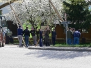 Maibaumaufstellen 2006_44