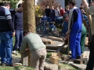 Maibaumaufstellen 2006_5