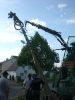 Maibaumaufstellen 2011