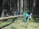 Maibaumaufstellen 2012_39