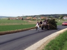 Maibaumaufstellen 2012