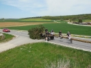Maibaumaufstellen 2012