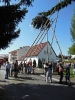 Maibaumaufstellen 2012_70