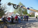 Maibaumaufstellen 2012_71