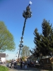 Maibaumaufstellen 2012_73