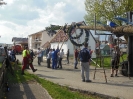 Maibaumaufstellen 2015_23