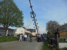 Maibaumaufstellen 2015_32