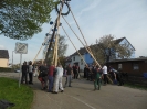 Maibaumaufstellen 2015_33