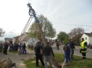 Maibaumaufstellen 2015_37