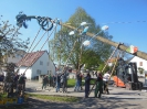 Maibaumaufstellen 2017_41